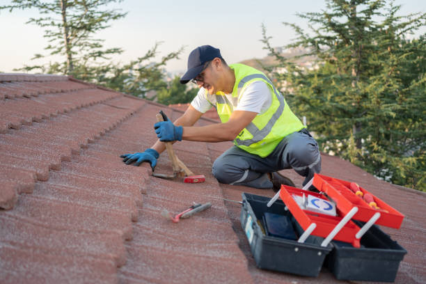 Best Slate Roofing Contractor  in Homeland Park, SC