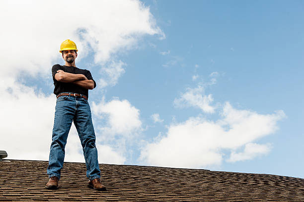 Best Roof Gutter Cleaning  in Homeland Park, SC